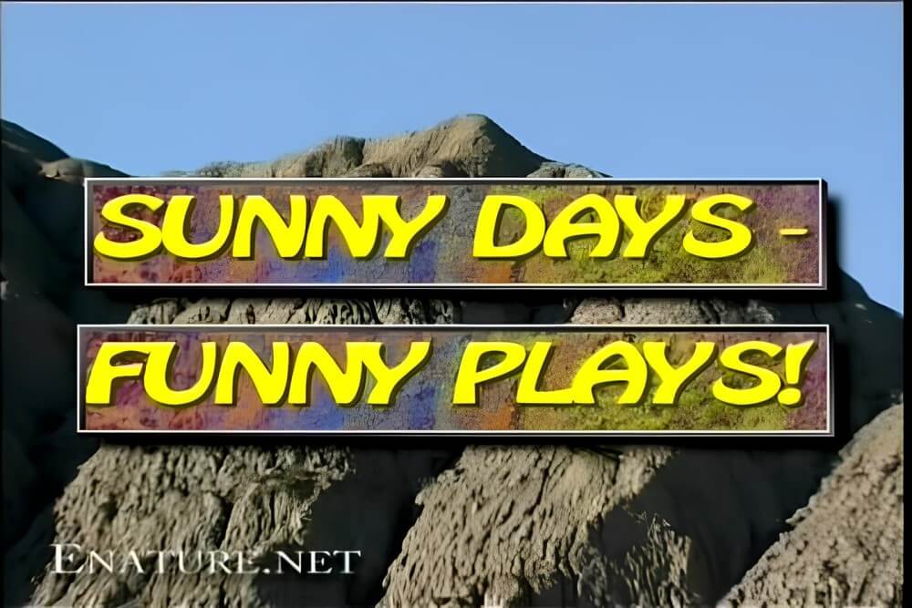 Enature - Sunny Days – Funny Plays - People who practice naturism value naturalness and simplicity