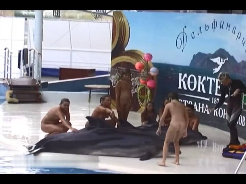 Relaxing at the dolphinarium - Nudity is a part of life without shame or fear